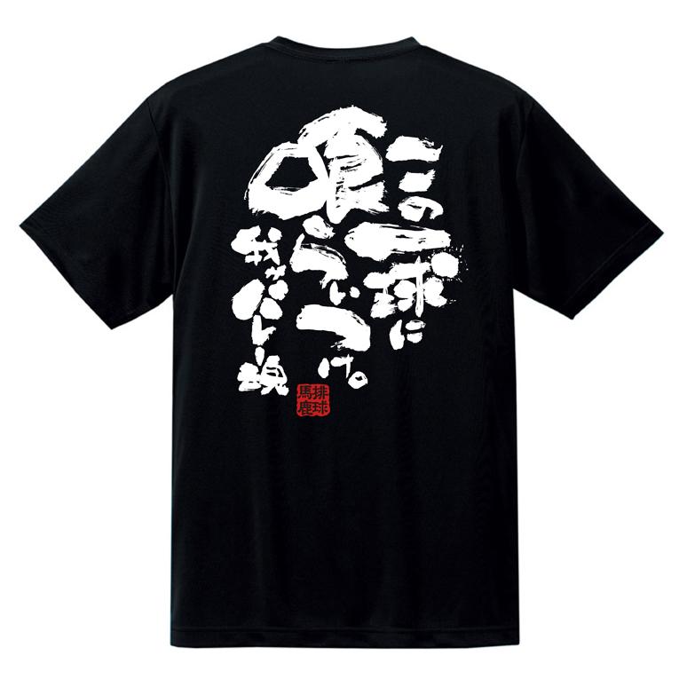 チーム割あり バレーボール 練習着 tシャツ ウェア : チャンコレ.プロ