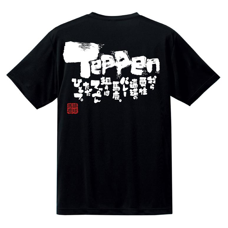 チーム割あり バレーボール ウェア tシャツ 練習着 部活 チーム ドライ