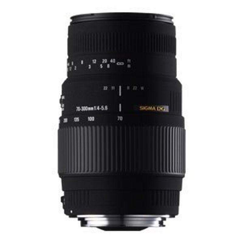 SIGMA 望遠ズームレンズ 70-300mm F4-5.6 DG MACRO ソニーA(α