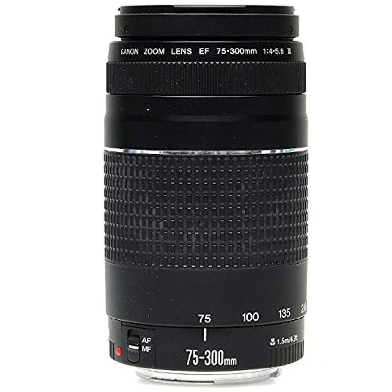 Canon EF 75-300mm f/4-5.6 III ズームレンズ