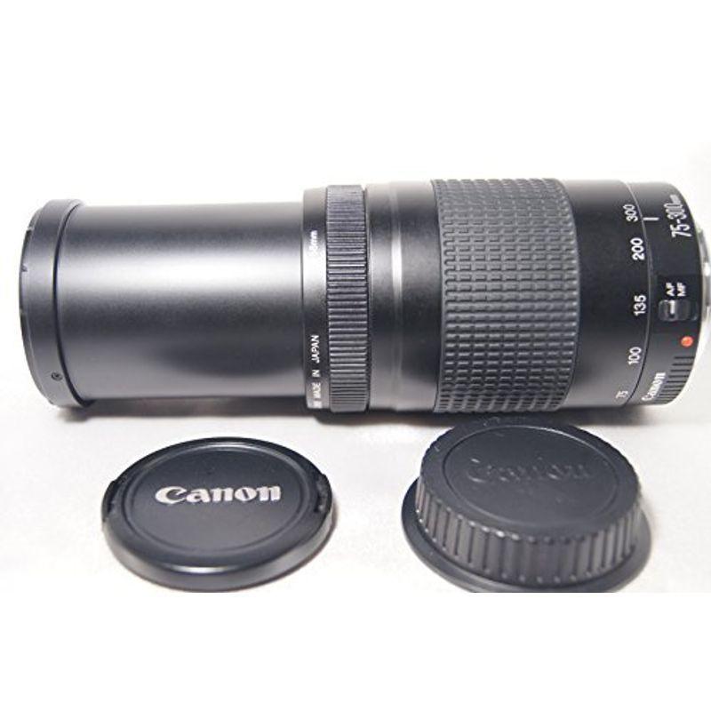 66%OFF!】 Canon キヤノン EF 75-300mm F4-5.6 II - motor-club.co.uk