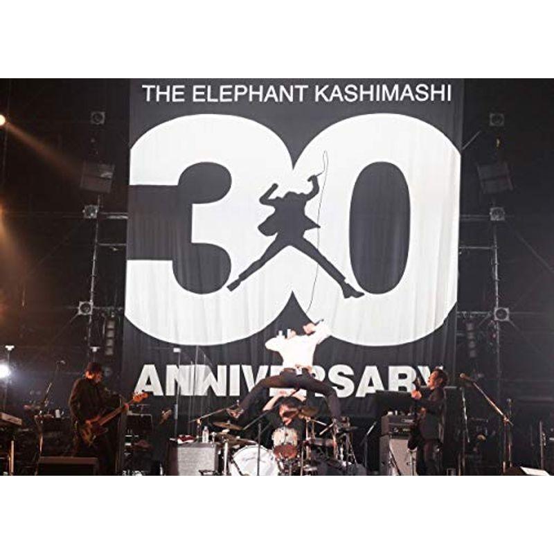 30th ANNIVERSARY TOUR 
