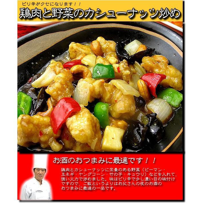 鶏肉と野菜のカシューナッツ炒め(200g) おつまみ 酒 冷凍真空パック