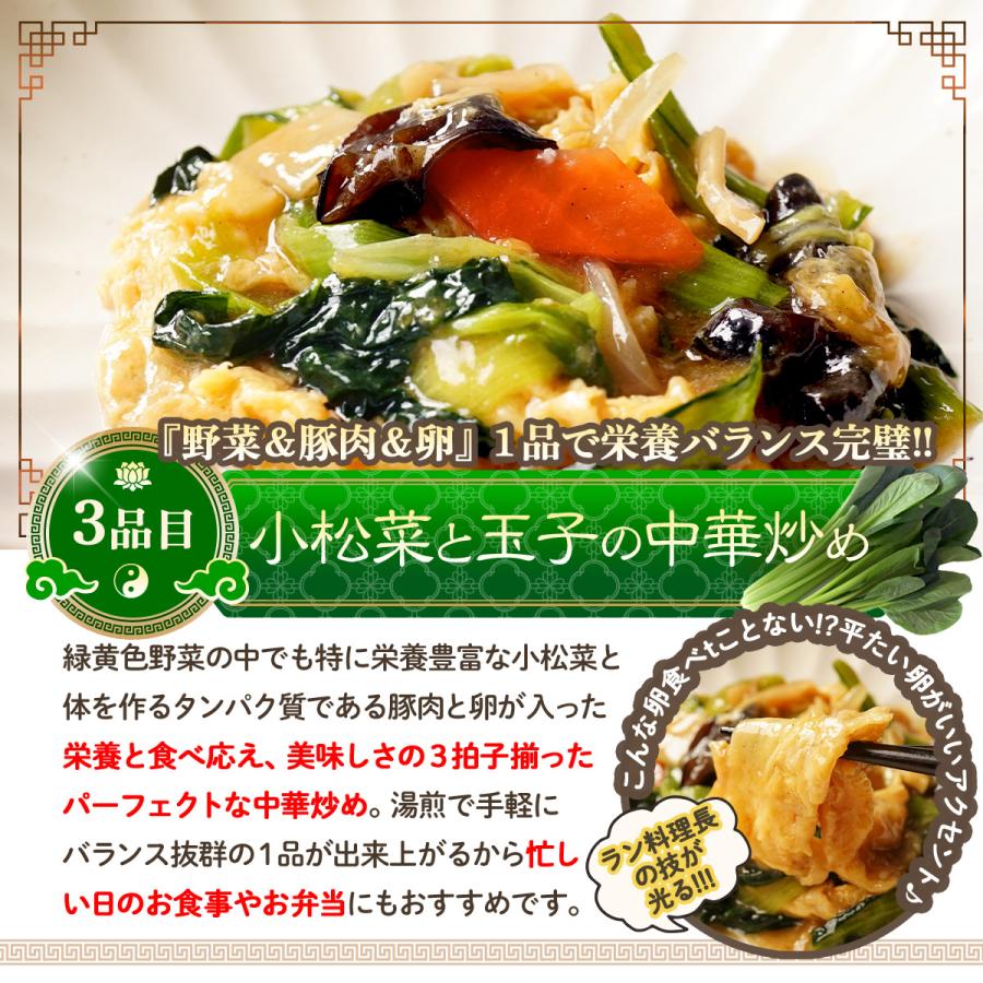 健康を考えた緑黄野菜中華6品セット 送料無料 冷凍食品 食品 食べ物｜chanova｜07