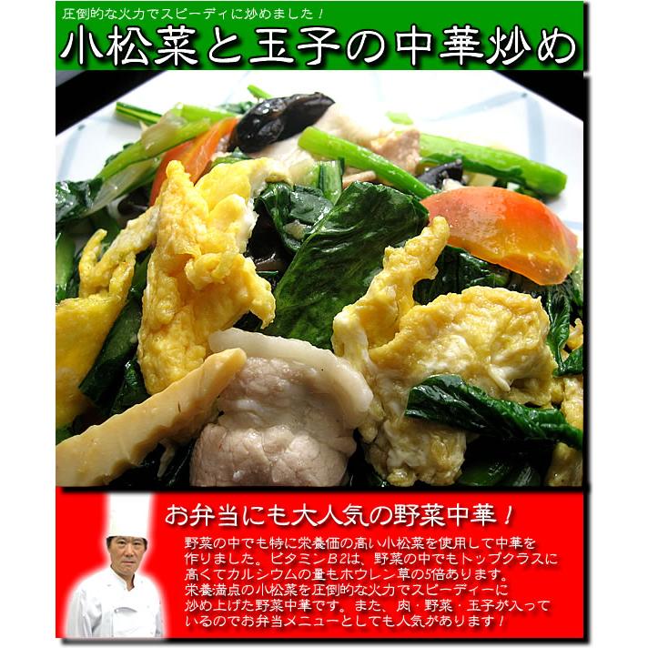 冷凍食品 ギフト 中華 惣菜 福袋 中華セット 中華惣菜 送料無料 レトルト食品 ギフト 時短 総重量2キロ超ハッピー中華福袋 | チャイナノーヴァ | 13