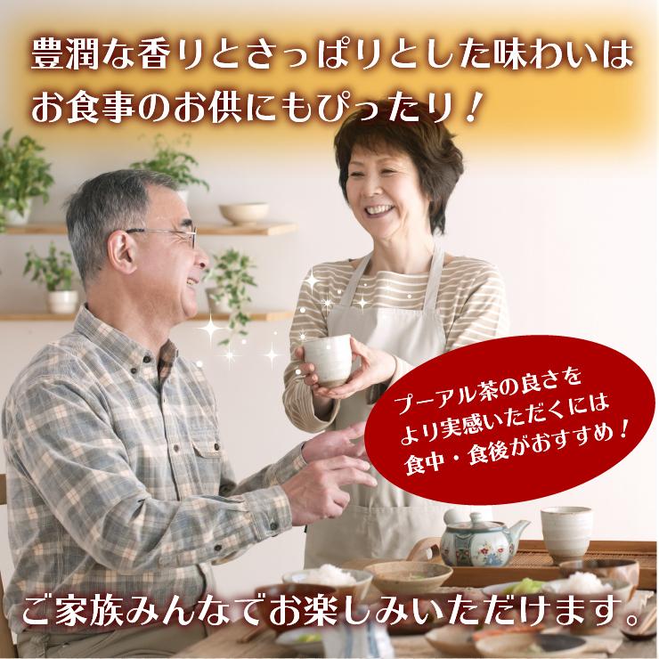 お中元 御中元 21 お茶 茶 プーアル茶 プーアール茶 効能 減肥茶 ティーバッグ 茶葉 水出し ダイエット 40包 Chs 001 茶の家 通販 Yahoo ショッピング