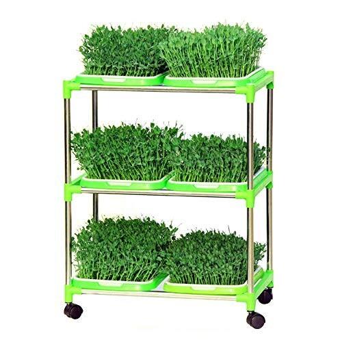 5pcs 育苗トレー 蓋付き 二重層 ダブル 育苗ポット プラスチック 種子発芽ポット 栽培トレ