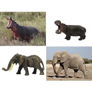 TOYMANY ミニ動物フィギュア 14PCS野生動物フィギュアセット リアルな
