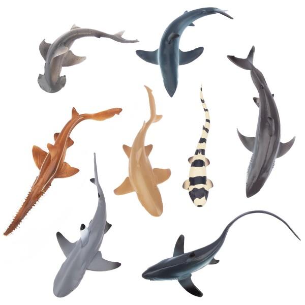 TOYMANY 動物フィギュア 8PCSサメフィギュア 海洋動物セット 海洋生物