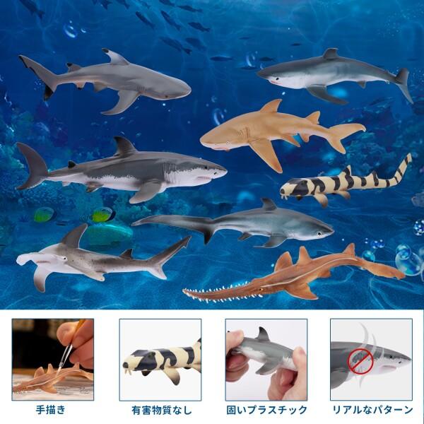 TOYMANY 動物フィギュア 8PCSサメフィギュア 海洋動物セット 海洋生物