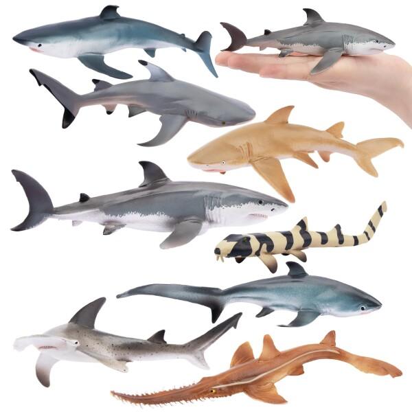 TOYMANY 動物フィギュア 8PCSサメフィギュア 海洋動物セット 海洋生物