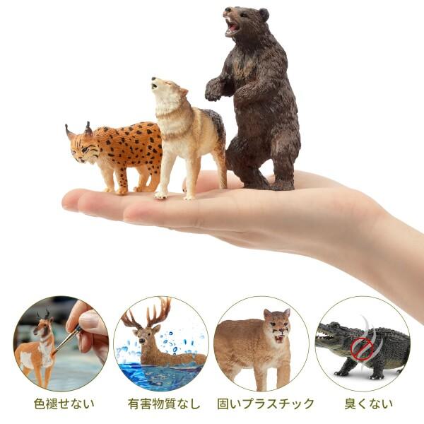 TOYMANY 12PCS北アメリカ 森の動物フィギュア 野生動物