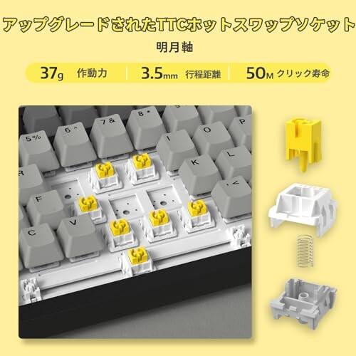 A.JAZZ AK820 有線メカニカルキーボード明月軸 75% 81キーUSB