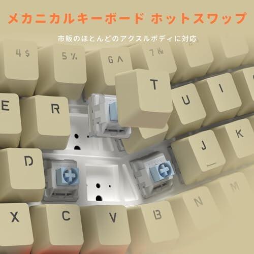 FIRSTBLOOD×AJAZZ AKS068 65%アリス配列海塩軸ガスケット68キーホット 