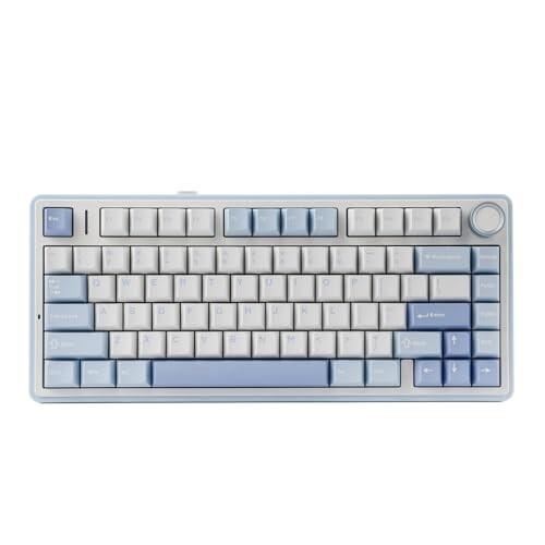 EPOMAKER x Aula F75 ゲーミングキーボード ガスケット メカニカル 
