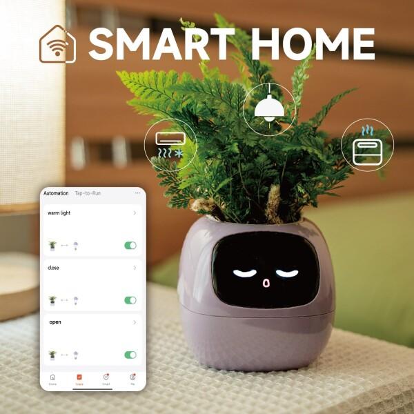 PLANTSIO スマートペットプランター ロボットガイダンス 絵文字付き 絵文字付き 愛らしい植物の仲_3
