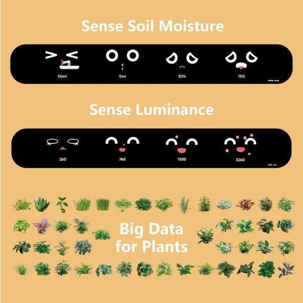 PLANTSIO スマートペットプランター ロボットガイダンス 絵文字付き 絵文字付き 愛らしい植物の仲_4