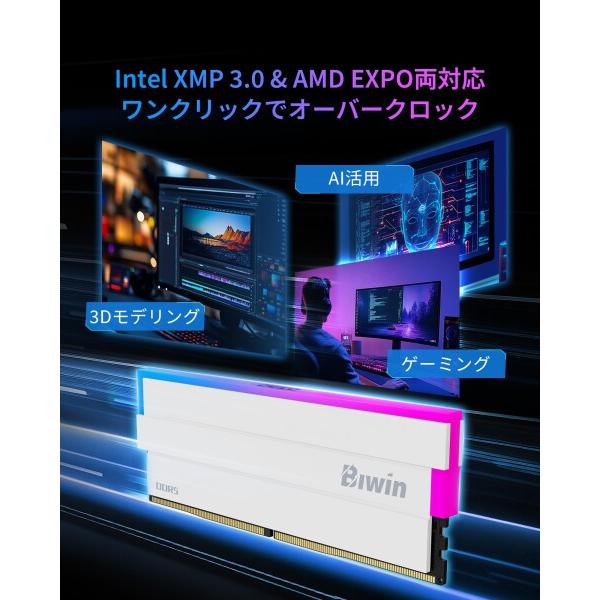 Biwin DW100 DDR5 6000MT/s (PC5-48000) デスクトップPC用メモリ Biwin DW100 DDR5 6000MT/s (PC5-48000) デスクトップPC用メモリ