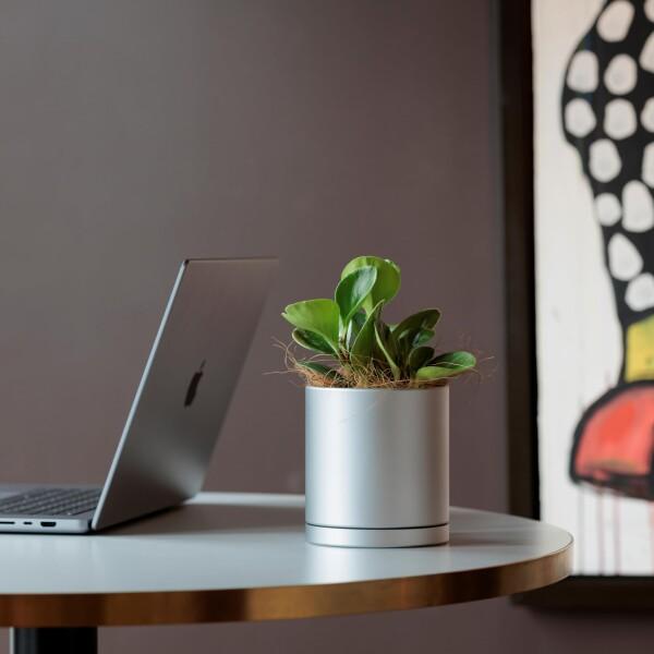 アルミニウム ポット 4.5インチ 植木鉢4号相当 シルバー 削り出し