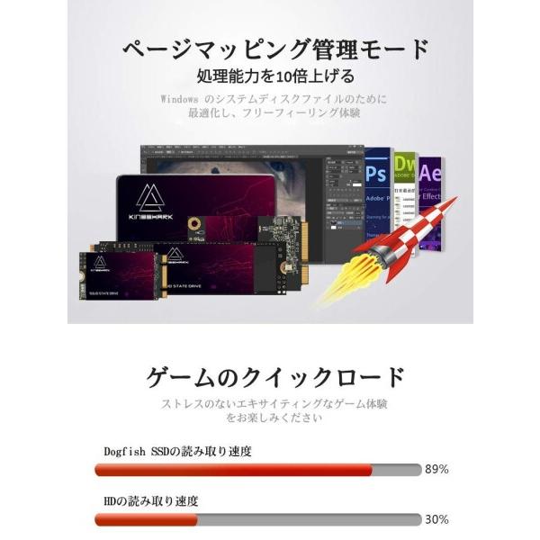 Kingshark SSD Msata 240GB APROシリーズ 内蔵型 mSATA Solid State