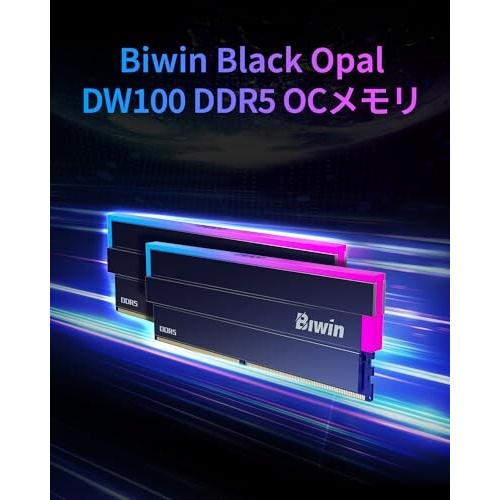 Biwin DW100 DDR5 6000MT/s16GB×2枚CL28 Amazon.co.jp: Biwin DW100 DDR5 6000MT/s (PC5-48000) 192GB