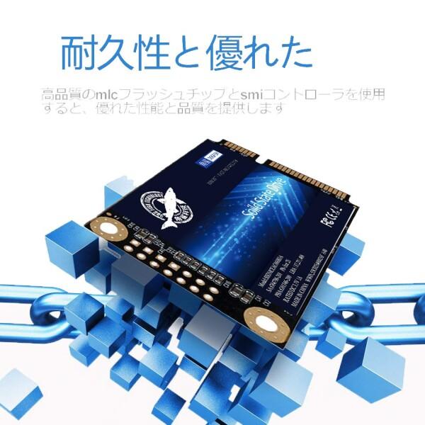 SSD SATA mSATA 250GB Dogfish 内蔵型 Solid State Drive 3年保証 PC/ノート/パソコン/適用 ソリッドステートド_2