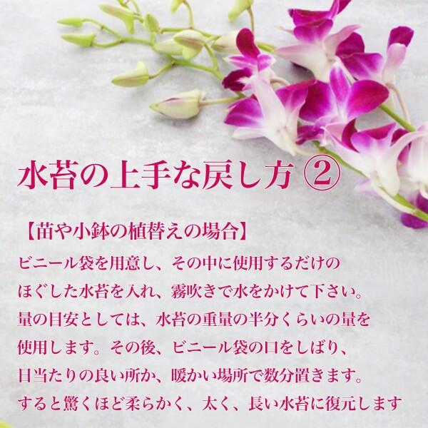 水苔 ニュージーランド産 AAA 150g×3 ジャパン蘭土 ニュージー産圧縮ミズゴケ 乾燥水ごけ 園芸 胡_6