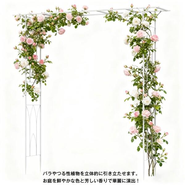 Susire パーゴラ ガーデンアーチ バラ フラワーアーチ 組立キット
