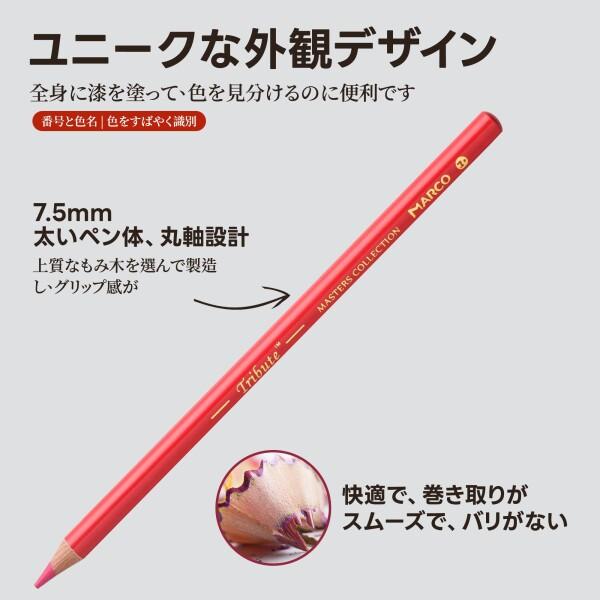 Marco 80色油性鉛筆 大人，塗り絵 高級 プロ用 スケッチ 柔らかい 芯 