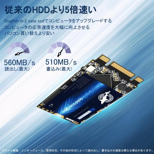 Dogfish SSD M.2 2242 2TB NGFF SATA iii b+m Key 6Gb/s 3D NAND TLC