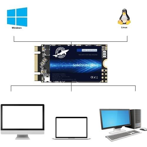 Dogfish SSD M.2 2242 2TB NGFF SATA iii b+m Key 6Gb/s 3D NAND TLC
