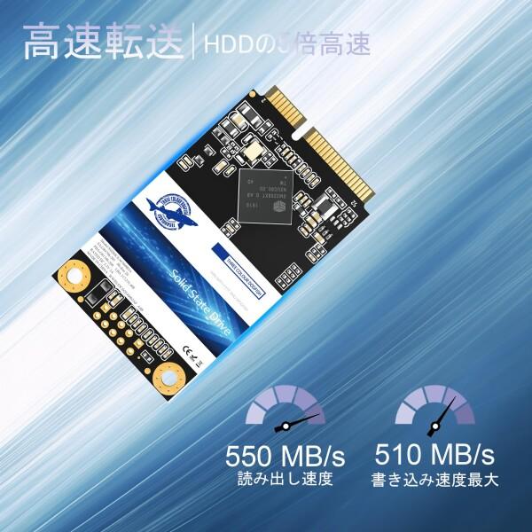 Dogfish mSATA SSD 2TB 内蔵 SSD SATA III 6Gb/s 3D NAND ノート PC/デスクトップ対応_1