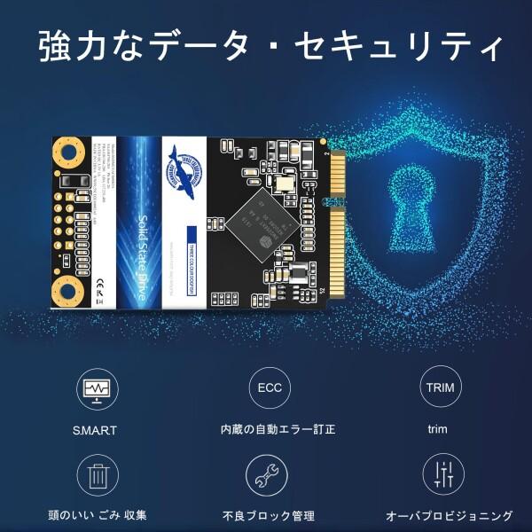 Dogfish mSATA SSD 2TB 内蔵 SSD SATA III 6Gb/s 3D NAND ノート PC/デスクトップ対応_3