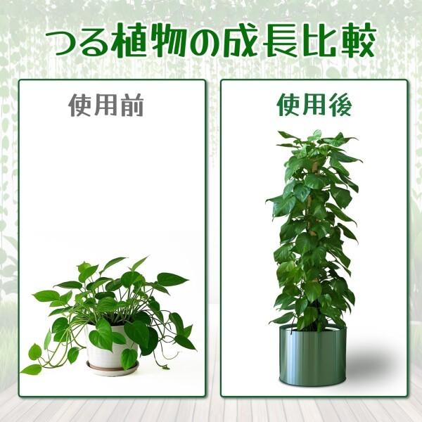園芸 支柱 120cm 2PCS 太め モンステラ支柱 ココスティック DIY曲げる
