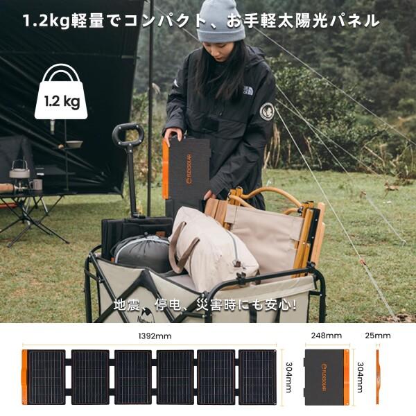 FlexSolar 60W 折り畳み式ソーラーパネル USB-C/USB-A/DC出力 ソーラー