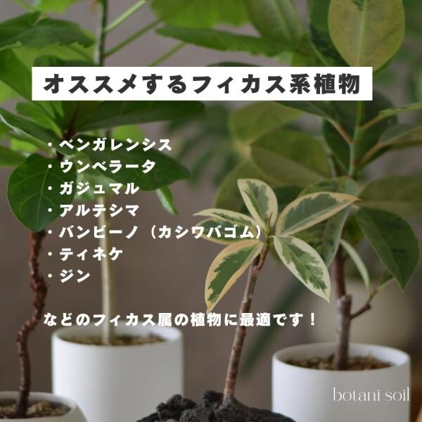 botani soil 3L 3袋 (ボタニソイル) 室内向け 観葉植物の土 虫が湧きづらい_1