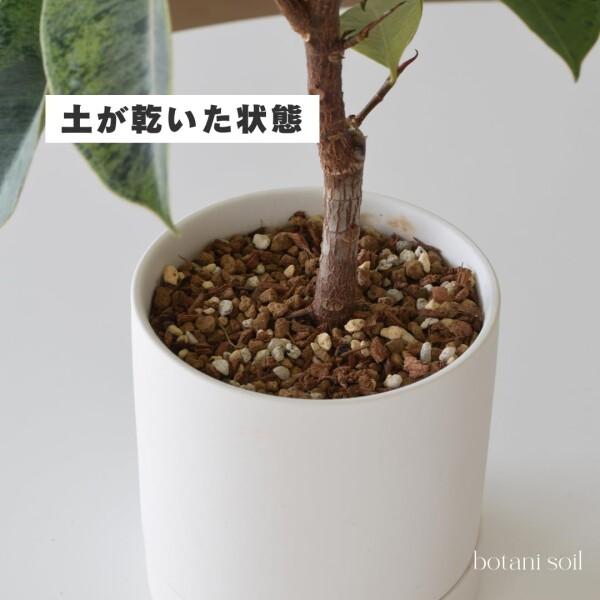 botani soil 3L 3袋 (ボタニソイル) 室内向け 観葉植物の土 虫が湧きづらい_4