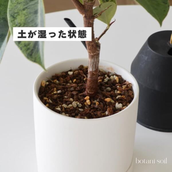 botani soil 3L 3袋 (ボタニソイル) 室内向け 観葉植物の土 虫が湧きづらい_5