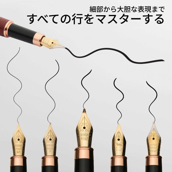 Wordsworth \u0026 Black Fountain Pen Gift Set, インク瓶、6個のインクカートリッジ、インクコンバーター、4本の画像