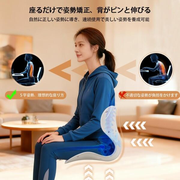ARAER 姿勢矯正 椅子 骨盤矯正 姿勢サポートチェア 座椅子 腰が痛く