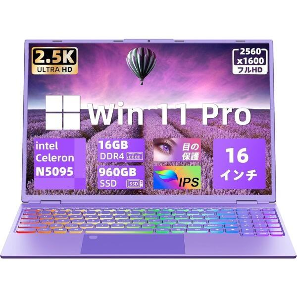 49081143518