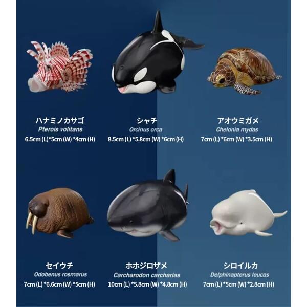 動物惑星 ガチャガチャ ブラインド ボックス シロイルカ シャチ