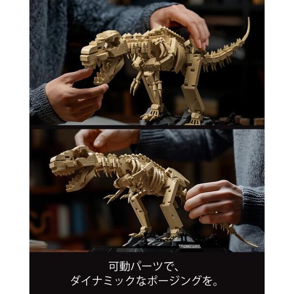 Nifeliz ティラノサウルス 骨格ブロックおもちゃ 大人向け組み立て