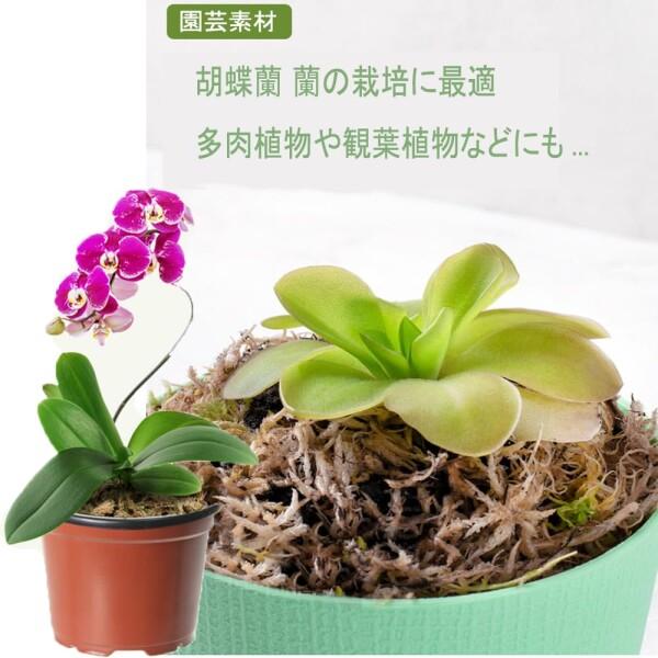 水苔 園芸用 圧縮水苔 胡蝶蘭 ミズゴケ 多肉植物 観葉植物 食虫植物