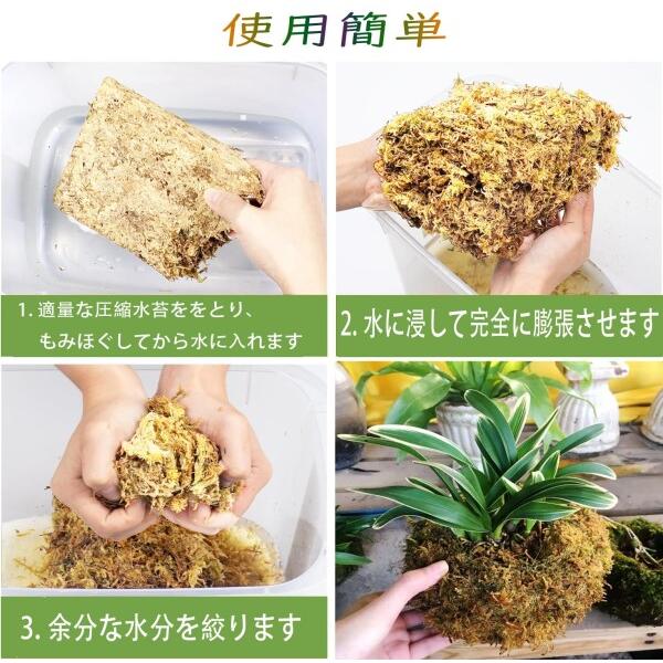 水苔 園芸用 圧縮水苔 胡蝶蘭 ミズゴケ 多肉植物 観葉植物 食虫植物