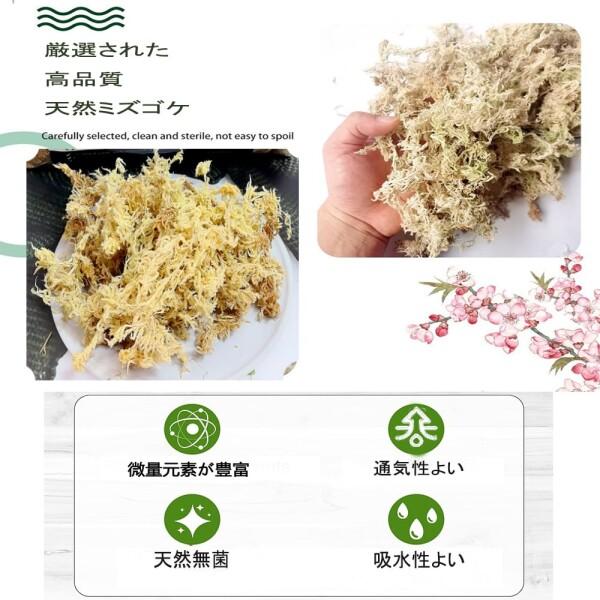 水苔 園芸用 圧縮水苔 胡蝶蘭 ミズゴケ 多肉植物 観葉植物 食虫植物
