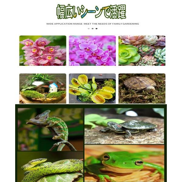 水苔 園芸用 圧縮水苔 胡蝶蘭 ミズゴケ 多肉植物 観葉植物 食虫植物