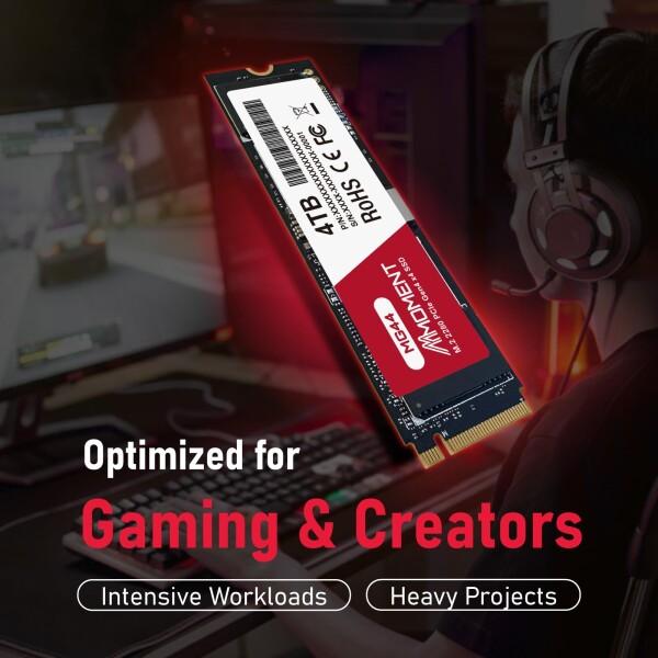 MMOMENT MG44 PCIe 4.0 NVMe SSD 4TB M.2 2280 内蔵型ストレージ 最大
