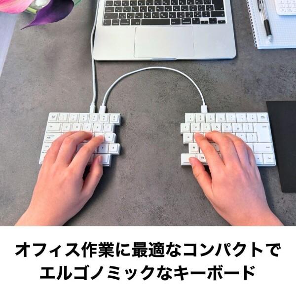 ライジュウ NISABI V2 LAK キーキャップ 日本語配列 分割式 ロー