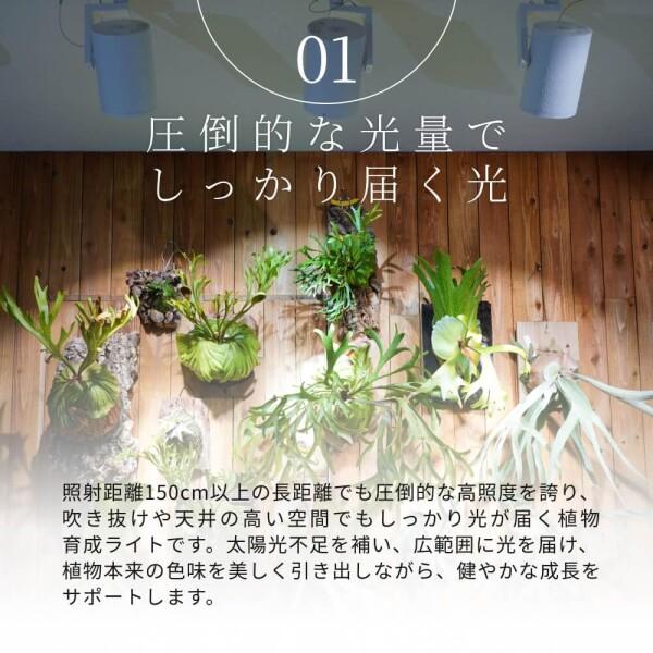 BARREL ブラック ライティングダクト用 超高演色 植物育成用照明太陽スポットライト_1